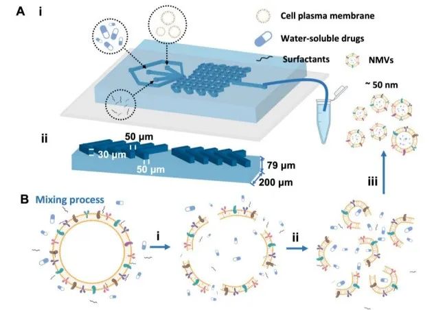 利用微流控技术制备超小型仿生纳米囊泡用于脑肿瘤靶向 电子工程专辑