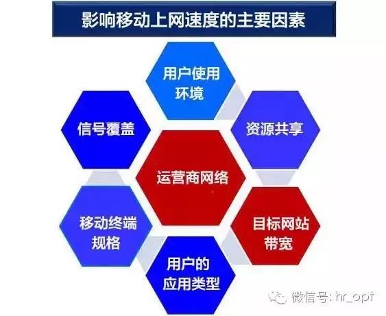 8.webp