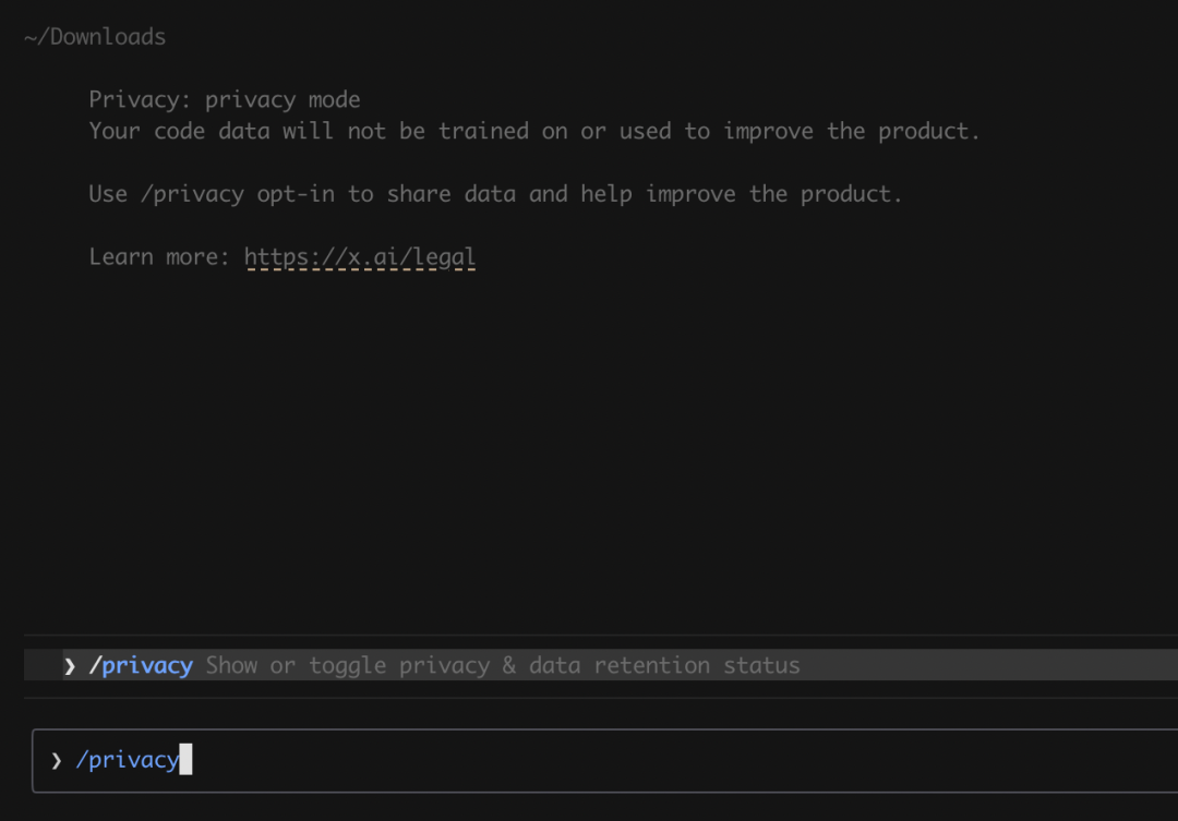 Grok Build CLI 的 privacy 狀態
