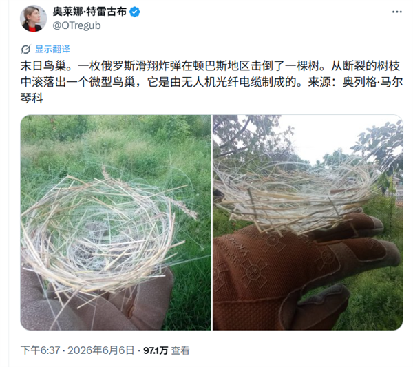 全球首例！烏克蘭鳥類已適應戰場環境：用無人機光纖電纜編織巢穴