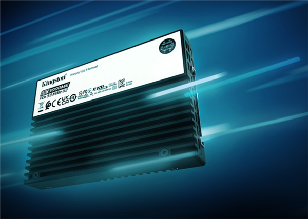 金士頓推出DC3000ME PCIe 5.0 SSD：eTLC閃存、最高15.36TB