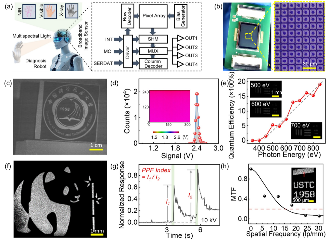 中国科大在图像传感器及光谱成像仪等领域的研究进展入选IEDM 2025-电子工程专辑