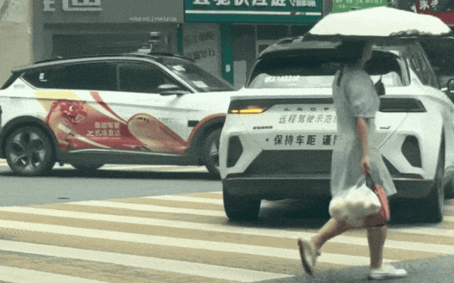 民间智慧与科技交融：武汉人眼中的“苕萝卜”_手机搜狐网
