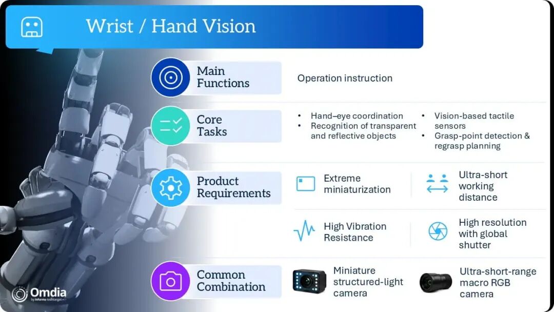 Wrist Hand Vision