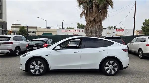 知名车评人“陈震同学”体验7座特斯拉Model Y 网友：犯了天条吗