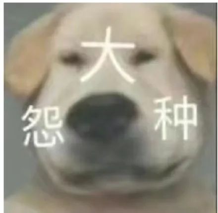 大怨种主题表情包_狗狗大怨种系列表情包集锦- 三千图片网