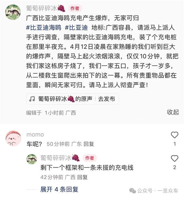 造谣海鸥起火 比亚迪法务部:该网民已被行拘