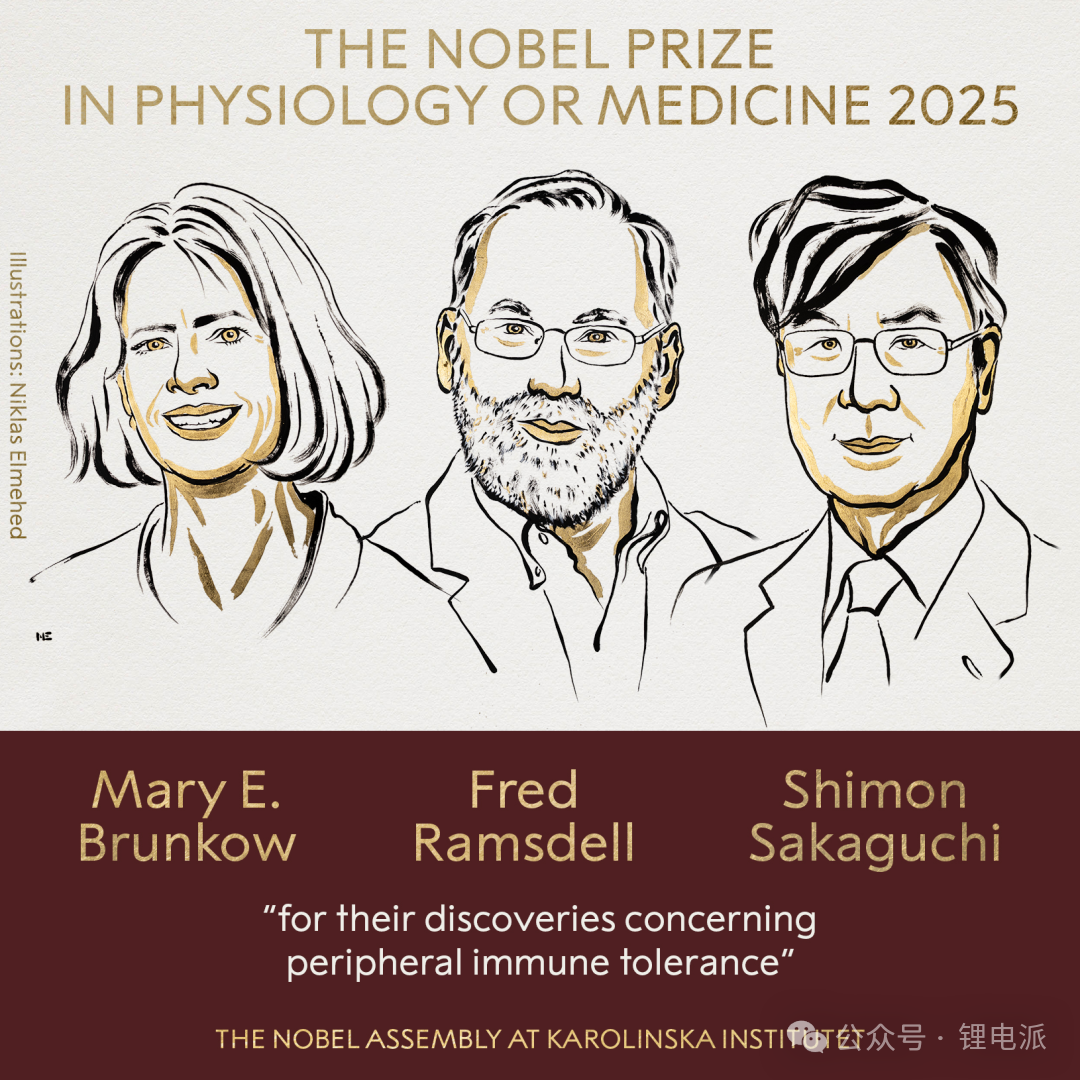 刚刚，2025诺贝尔物理学奖，揭晓！-电子工程专辑