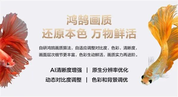 長虹、海思聯手！長虹星閃電視2.0發布：一根線搞定供電+4K傳輸