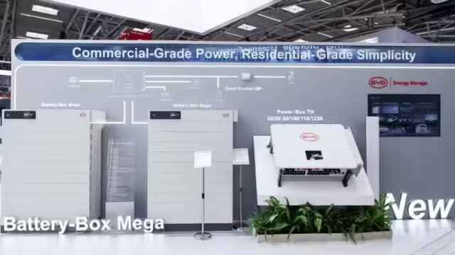 BYD deepens Middle East push with 11.275 GWh storage deal for Abu Dhabi  project - CnEVPost