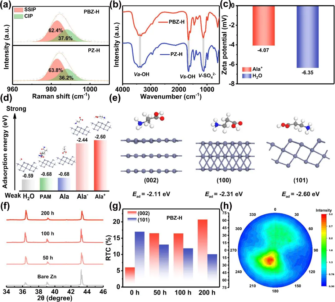β-丙氨酸阳离子触发的界面多米诺效应实现高可逆锌阳极-电子工程专辑