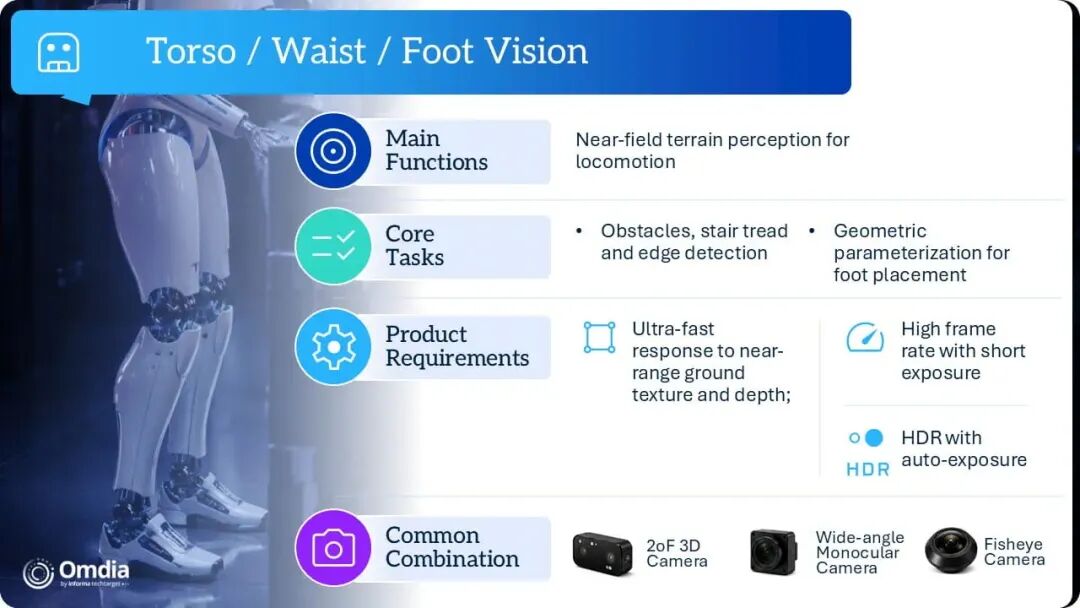 Torso Waist Foot Vision